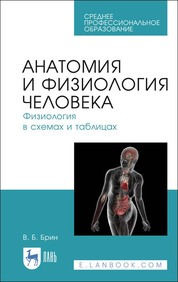 Брин в б физиология человека в схемах и таблицах