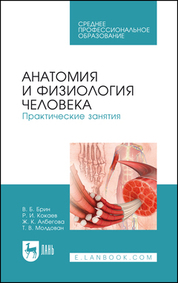 Анатомия человека в таблицах и схемах — Калмин О.В.